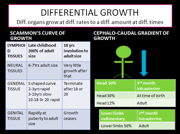 differential growth